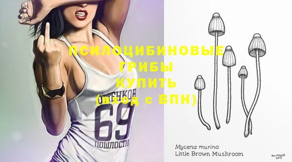 прущая мука Баксан